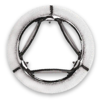 Novostia heart valve